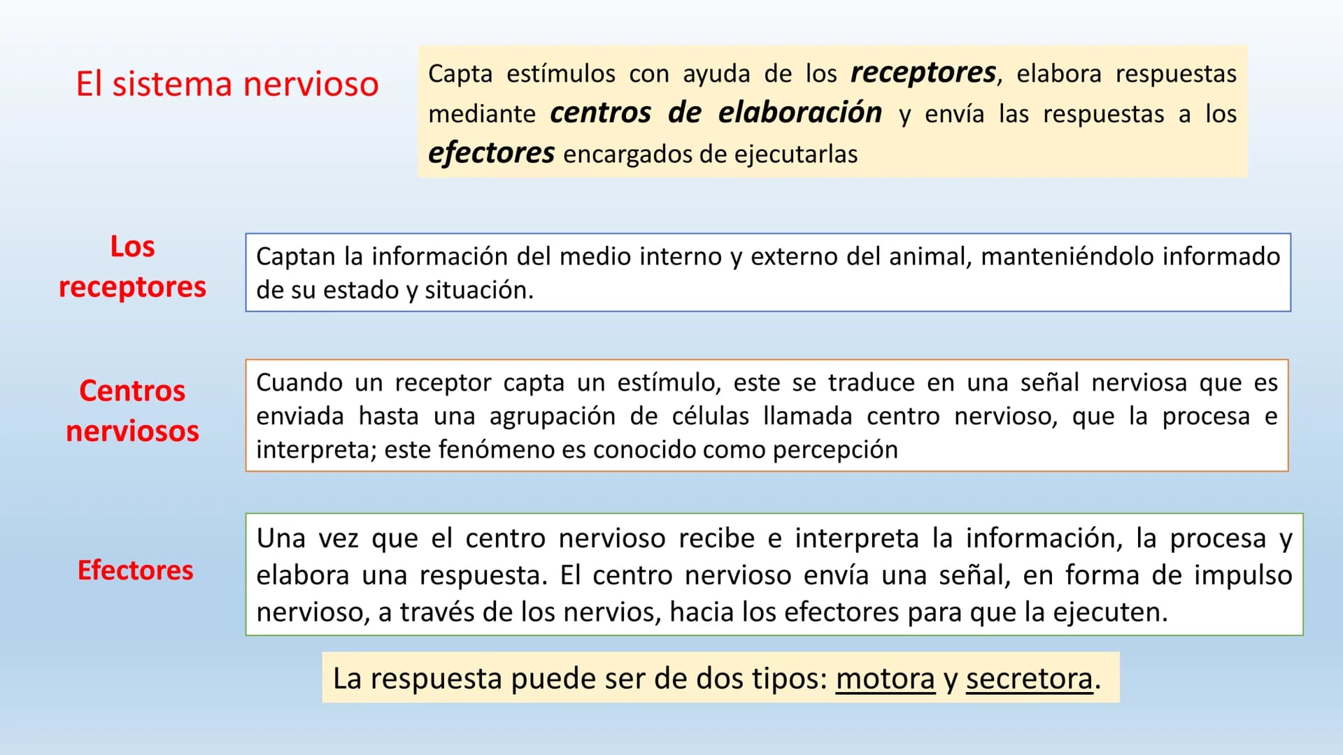 Los seres vivos responden
estímulos La respuesta a estímulos
Es el conjunto de acciones que realizan los seres vivos después de percibir un 