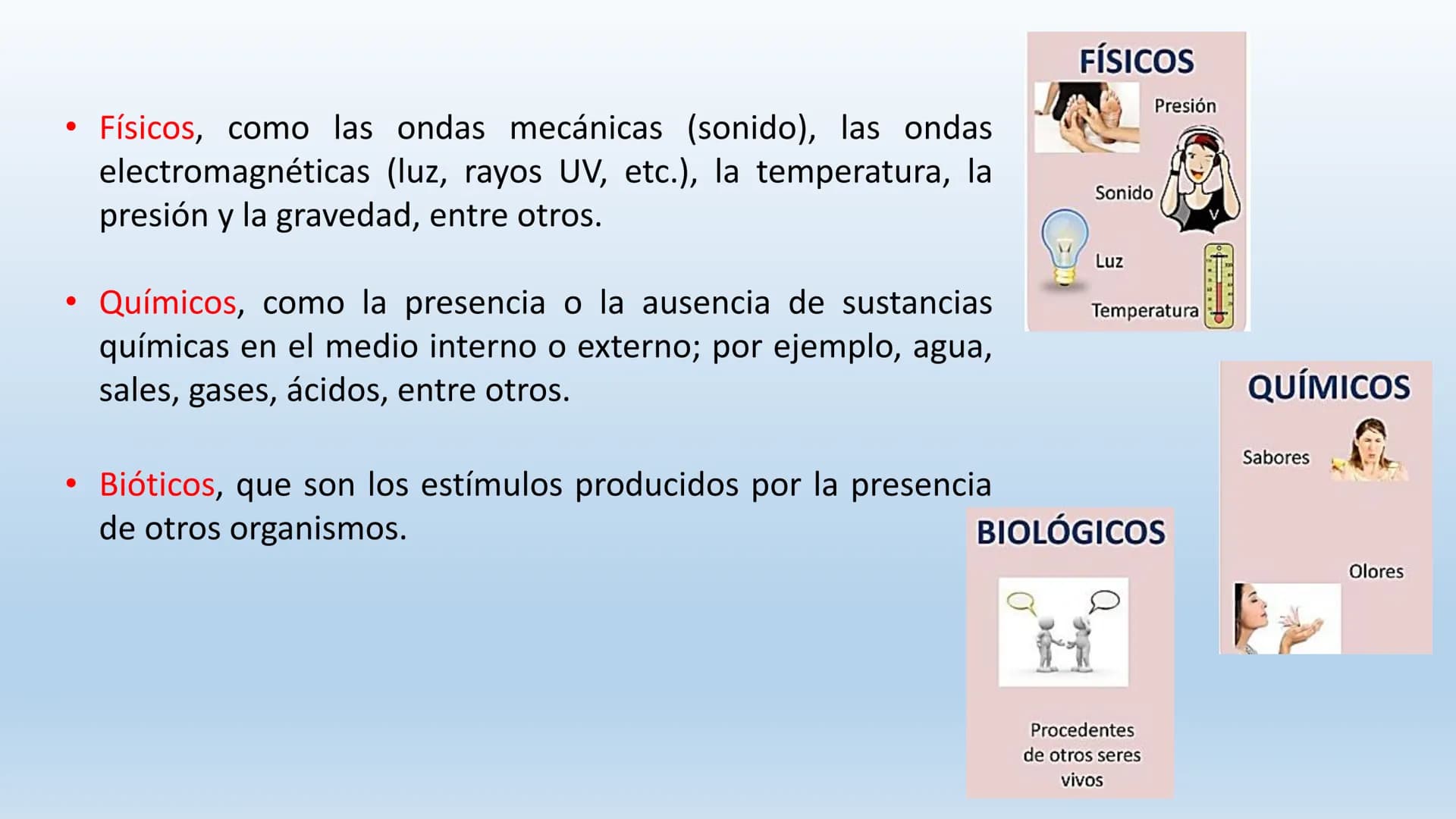 Los seres vivos responden
estímulos La respuesta a estímulos
Es el conjunto de acciones que realizan los seres vivos después de percibir un 