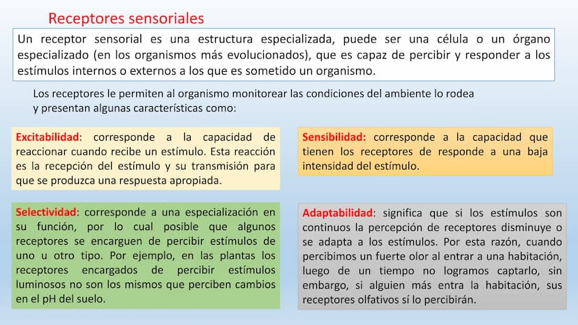 Los seres vivos responden
estímulos La respuesta a estímulos
Es el conjunto de acciones que realizan los seres vivos después de percibir un 