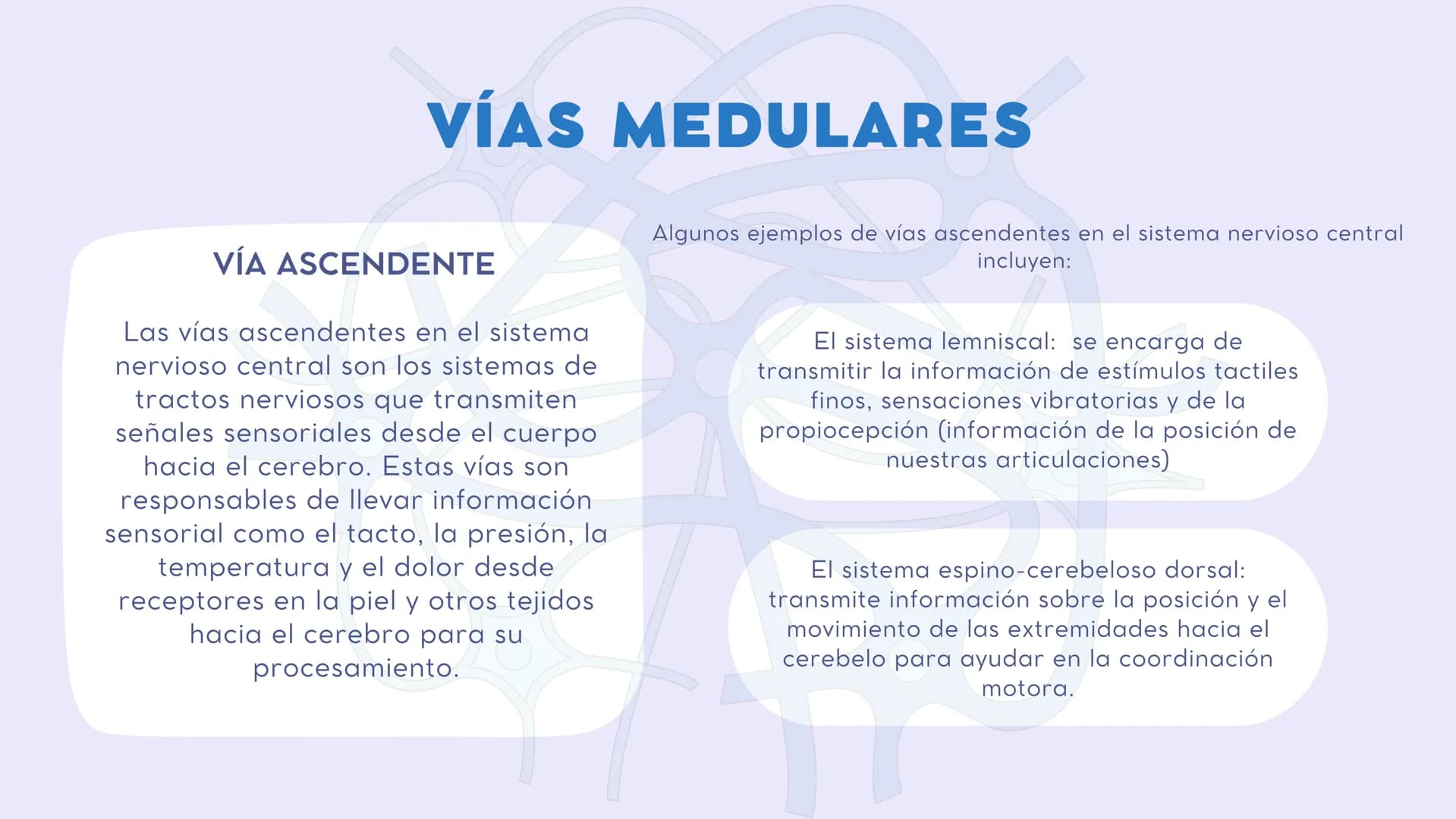 SISTEMA NERVIOSO
CENTRAL FISIOLOGÍA DEL SISTEMA NERVIOSO
EI SNC está formado por el encéfalo, localizado en el cráneo, y por la médula espin