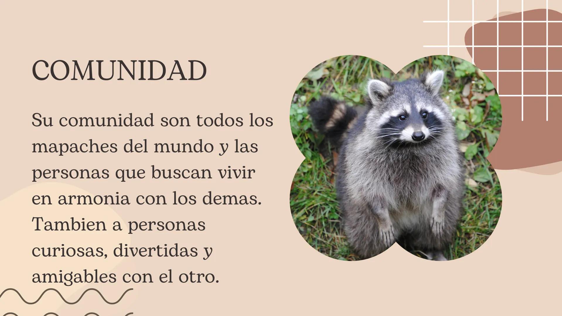 "
El
Chamapeismo Introducción
.
En que consiste
. Comunidad
. Dios
• Normas morales
Mandamientos
• Oración CONSISTE
El chamapeismo es una re