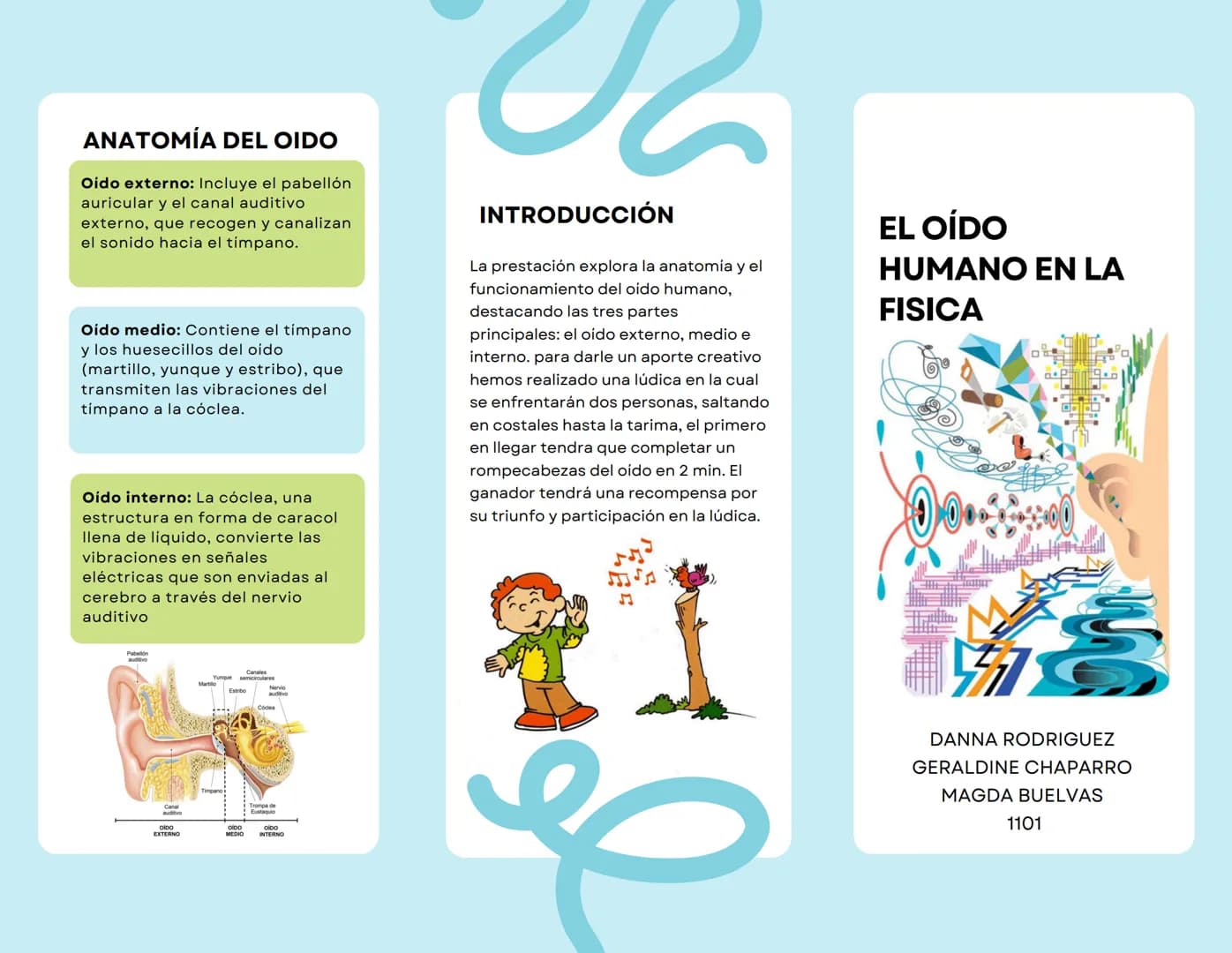 ANATOMÍA DEL OIDO
Oido externo: Incluye el pabellón
auricular y el canal auditivo
externo, que recogen y canalizan
el sonido hacia el tímpan