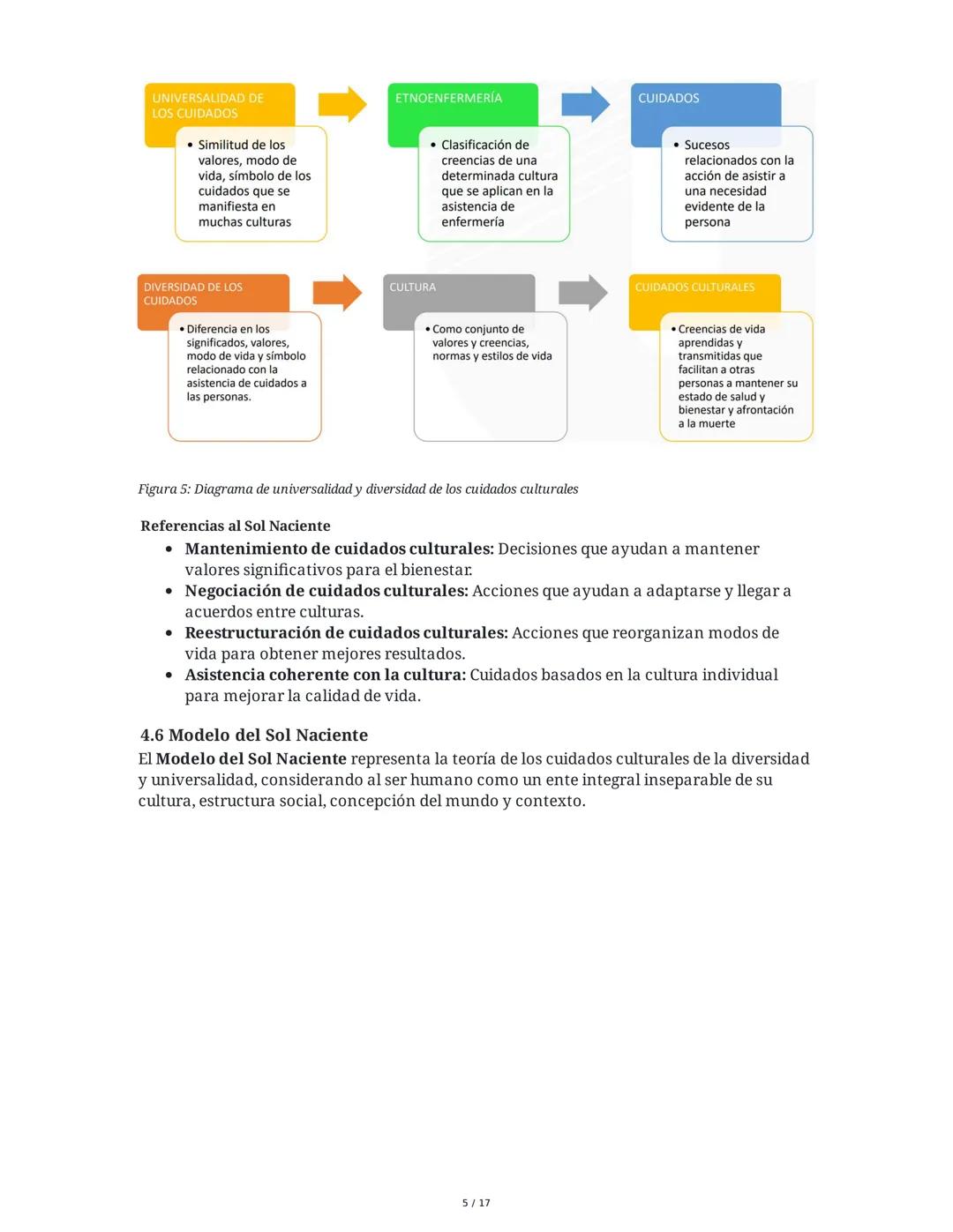 Historia y Epistemología del Cuidado: Escuela de Caring - Jean
Watson y Madeleine Leininger
1. Introducción
El curso "Historia y Epistemolog