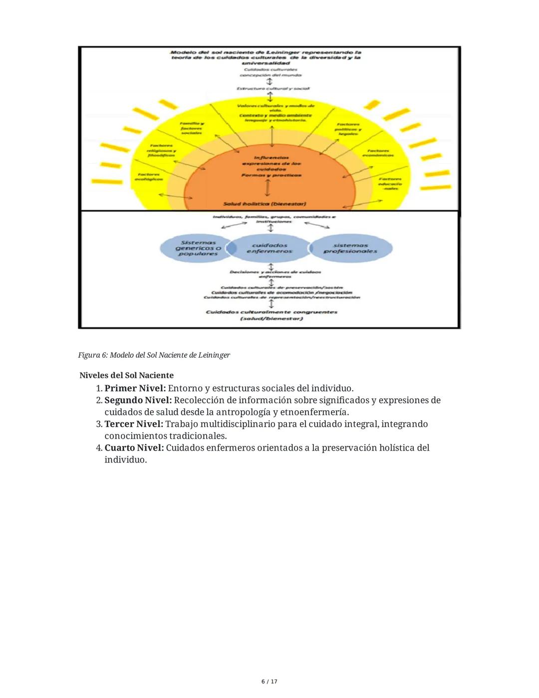 Historia y Epistemología del Cuidado: Escuela de Caring - Jean
Watson y Madeleine Leininger
1. Introducción
El curso "Historia y Epistemolog