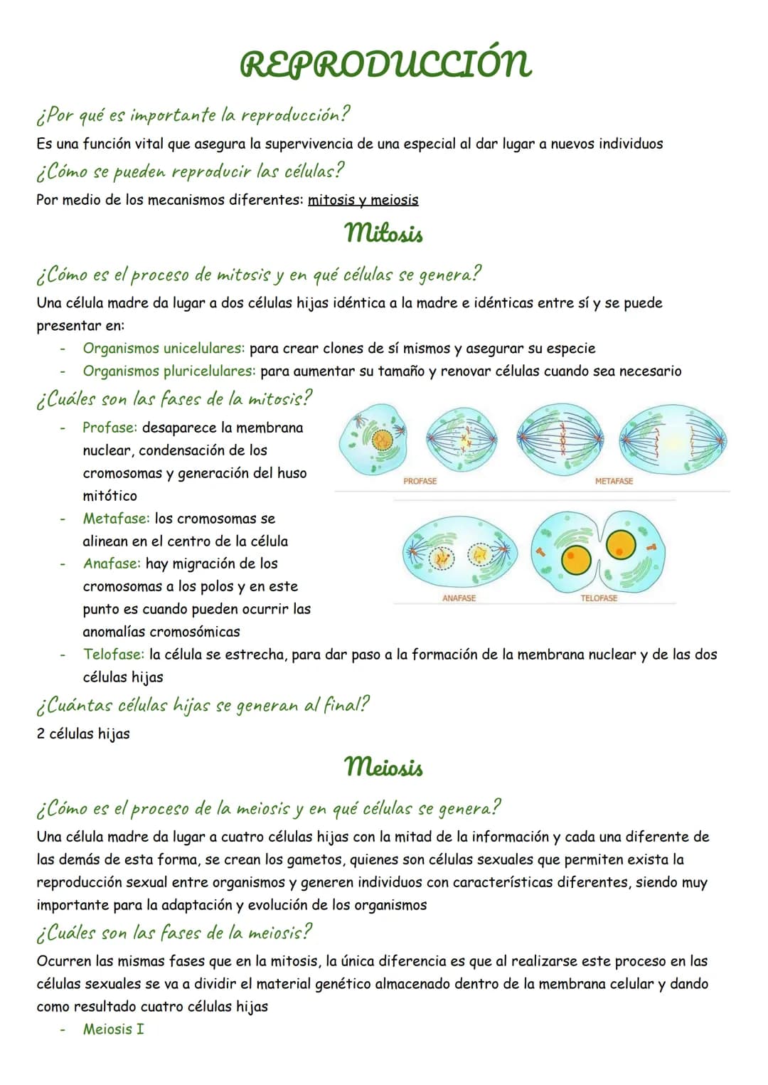 REPRODUCCIÓN
¿Por qué es importante la reproducción?
Es una función vital que asegura la supervivencia de una especial al dar lugar a nuevos