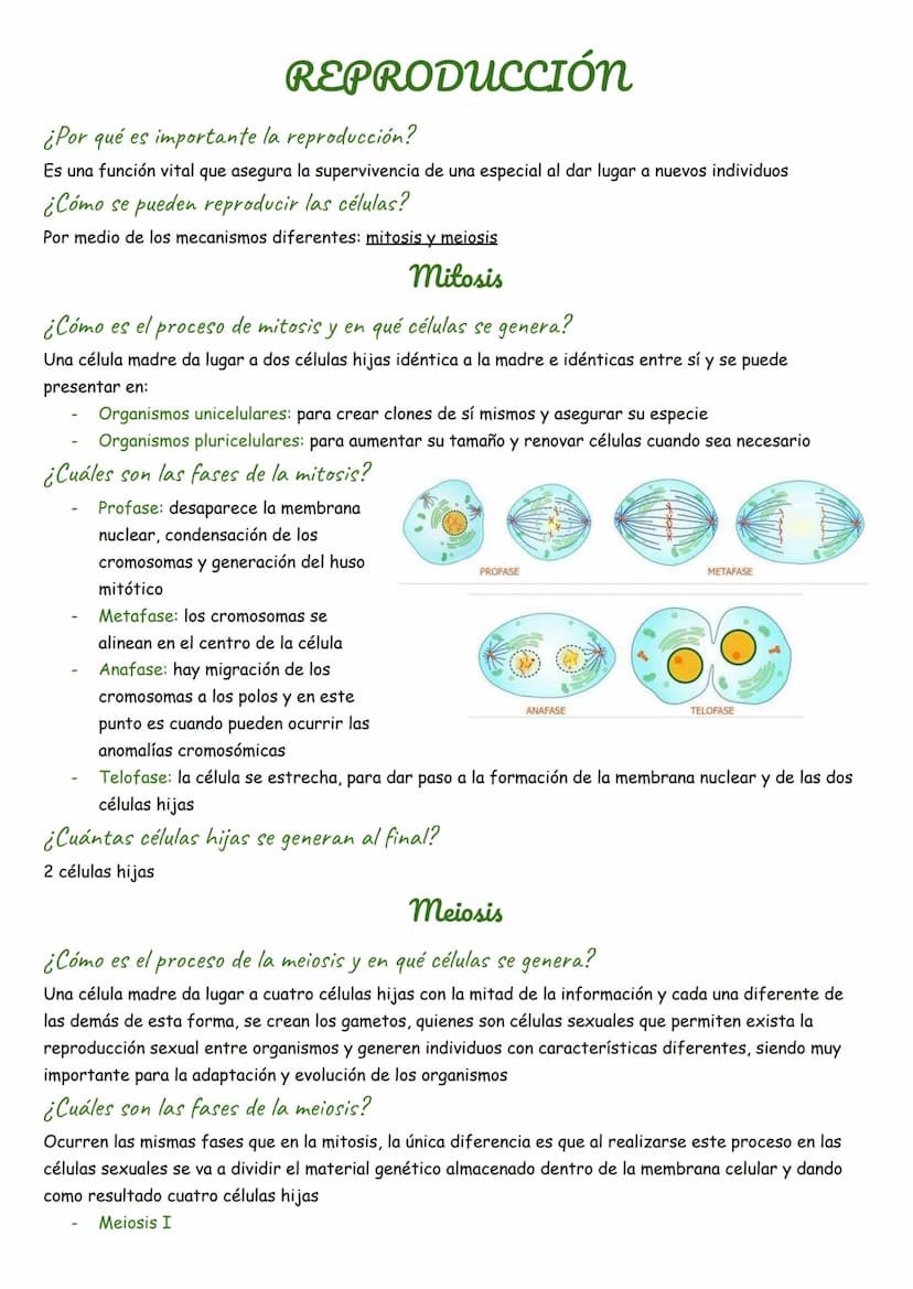 REPRODUCCIÓN
¿Por qué es importante la reproducción?
Es una función vital que asegura la supervivencia de una especial al dar lugar a nuevos