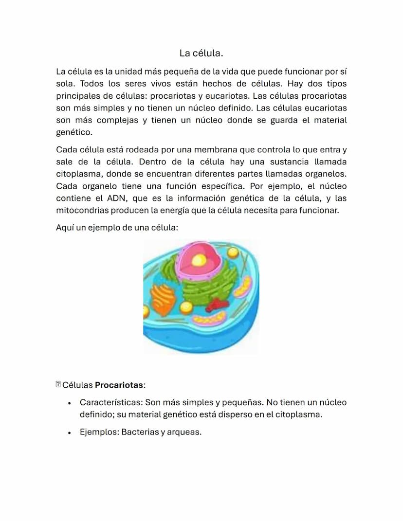 La célula.
La célula es la unidad más pequeña de la vida que puede funcionar por sí
sola. Todos los seres vivos están hechos de células. Hay