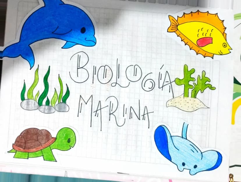Scribe
BIOLOGIA MARINA combi
Lo biologio morina es un campo de la ciencia
que se encargo de estudiar los orgonismos.
que viven en los océano