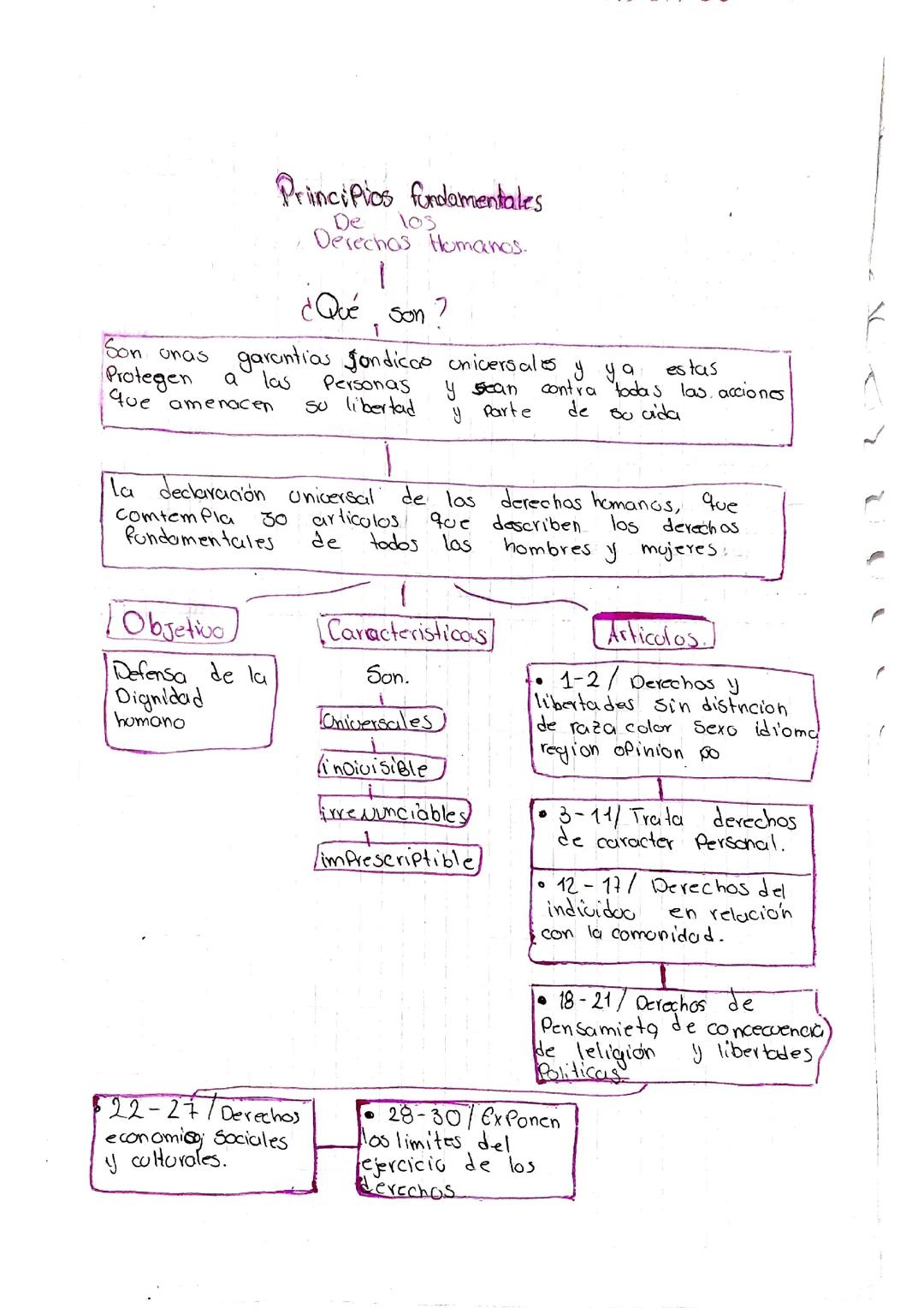 Conceptos Básicos sobre los Derechos Humanos