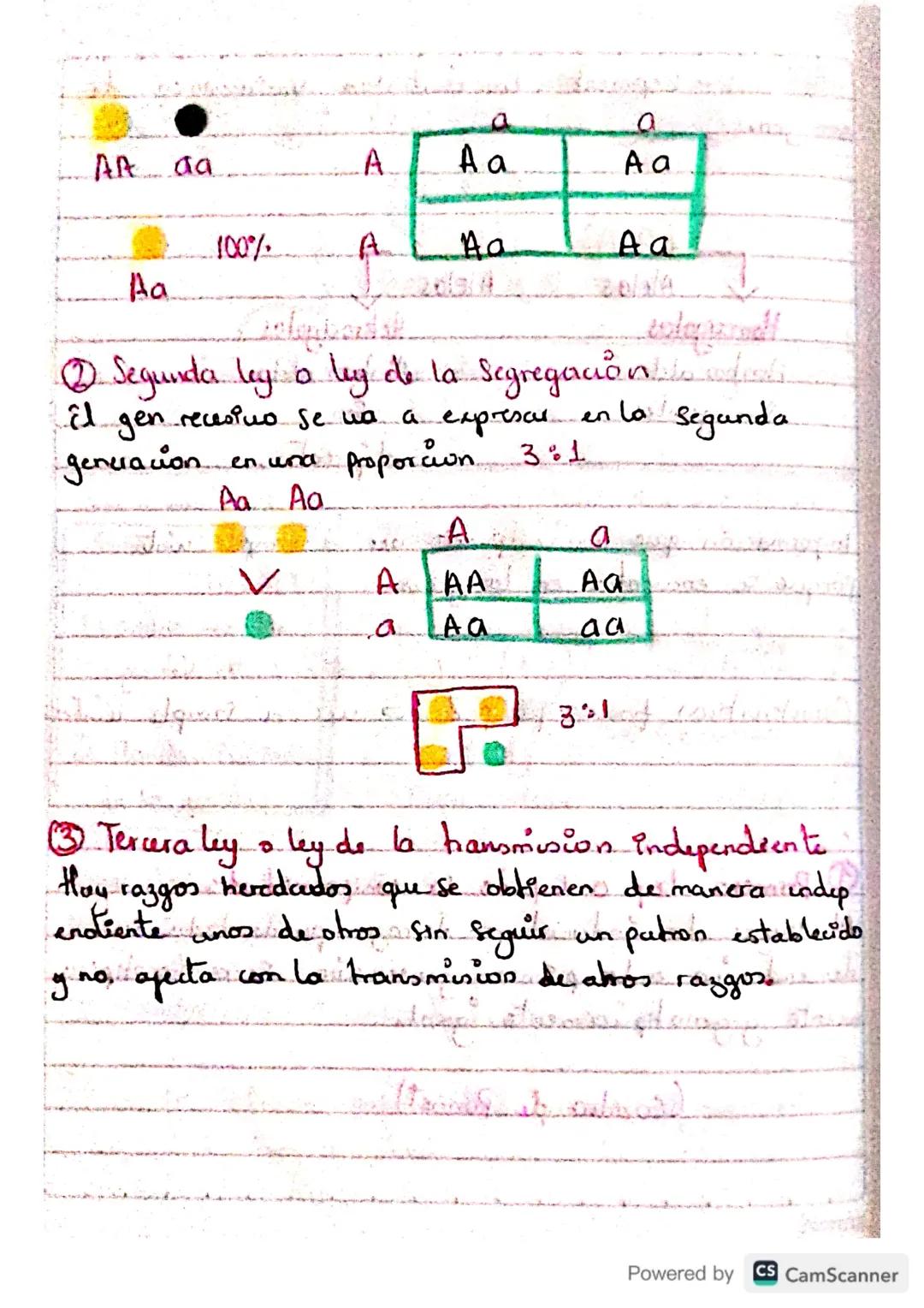 # LAS 10000

# Mendel

La transmisión de las Caraderisticas de una generacio
a otra

1865- GREGOR
HONDEL
El padre de La
genetica

3 Handamie