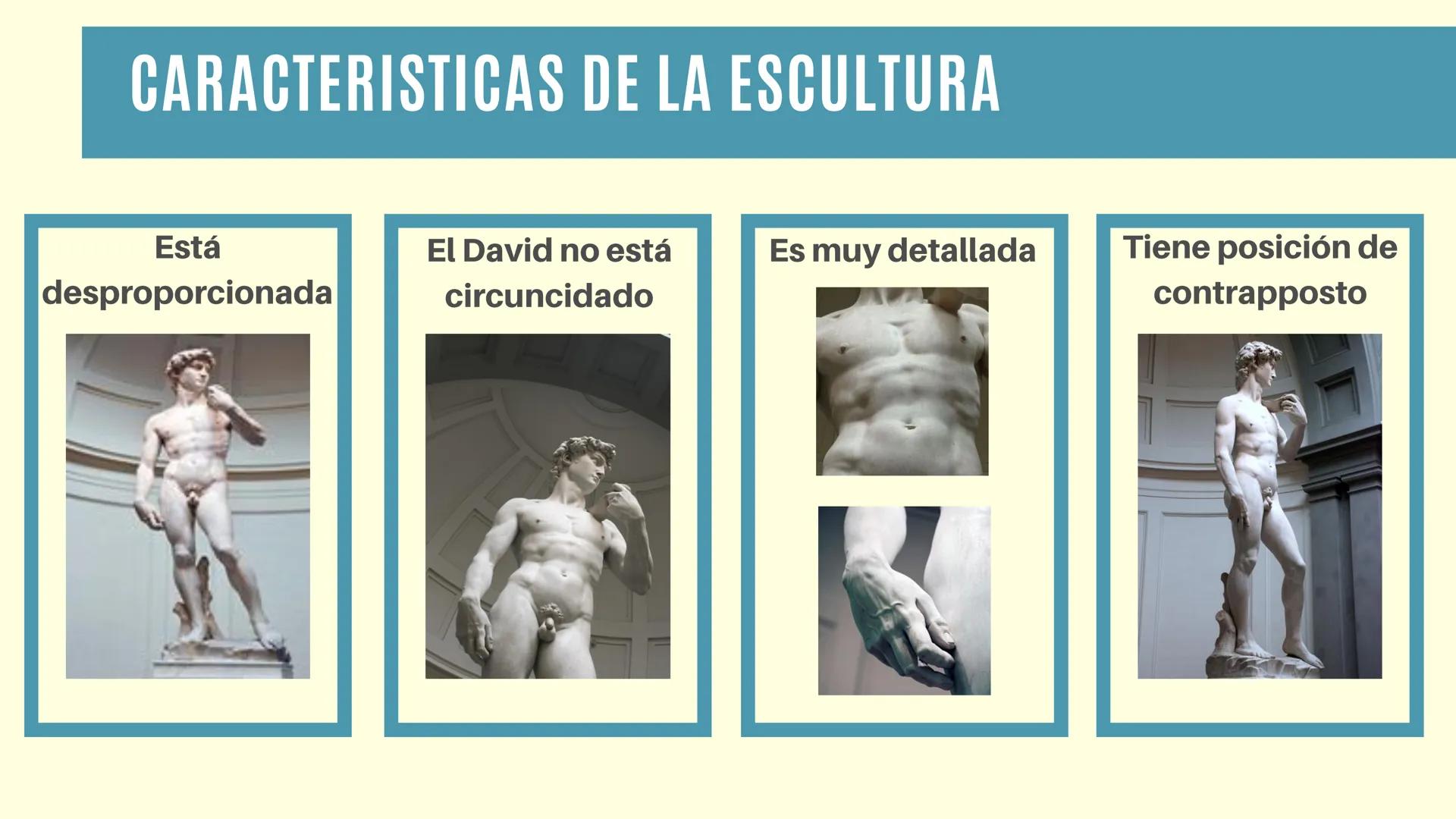 ESCULTURA
EL DAVID
- Isabela Alzate Arrubla DATOS GENERALES SOBRE
LA ESCULTURA
El David es una escultura de mármol
blanco (de carrara) que t