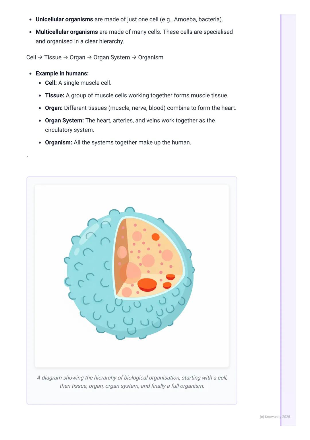 # Characteristics of Life

## What makes something alive?

Biology is the study of life, so the first thing we need to be clear on is what '