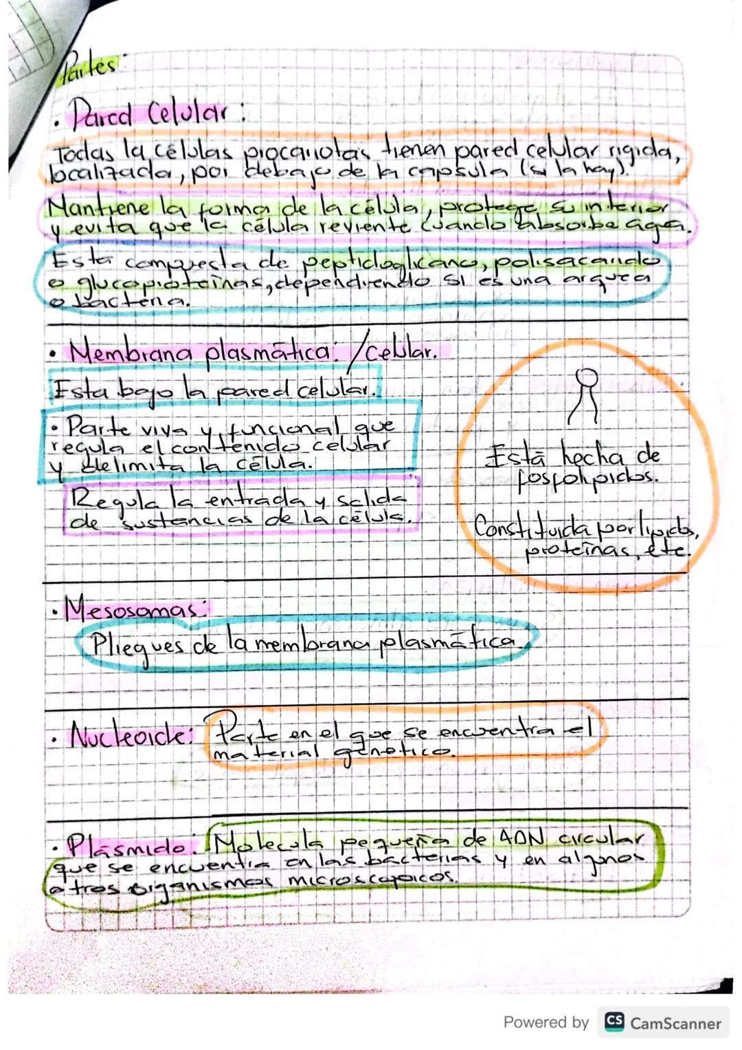 Celula - Membiana/
La celula es
es la unidad
fundamental de los
Seres vivos que contiene.
tode el material necestinch
para mantener los
proc