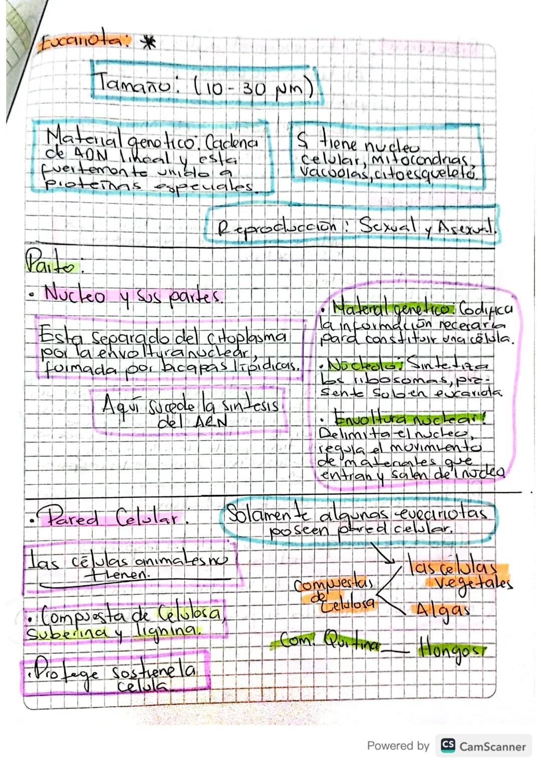 Celula - Membiana/
La celula es
es la unidad
fundamental de los
Seres vivos que contiene.
tode el material necestinch
para mantener los
proc