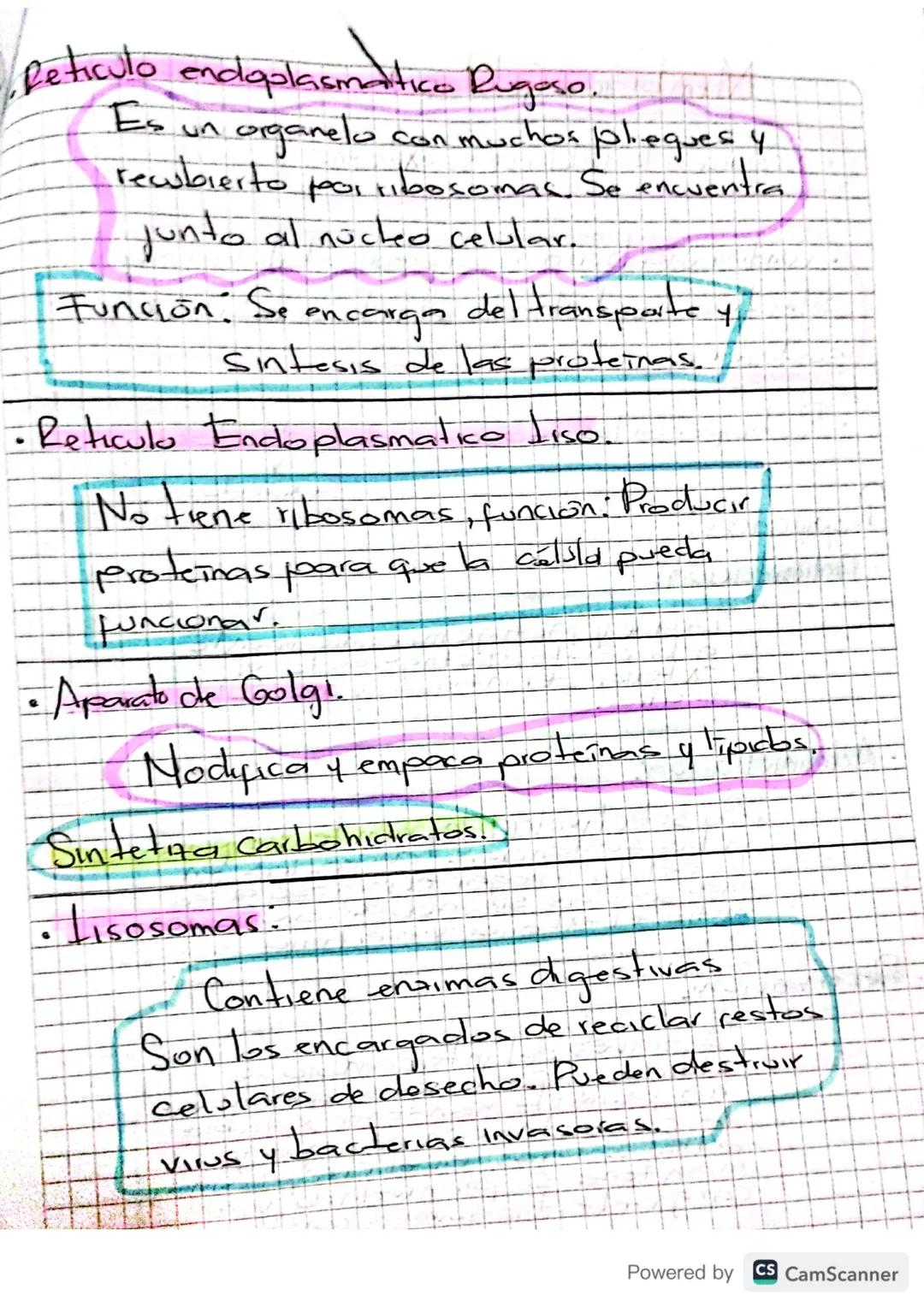 Celula - Membiana/
La celula es
es la unidad
fundamental de los
Seres vivos que contiene.
tode el material necestinch
para mantener los
proc