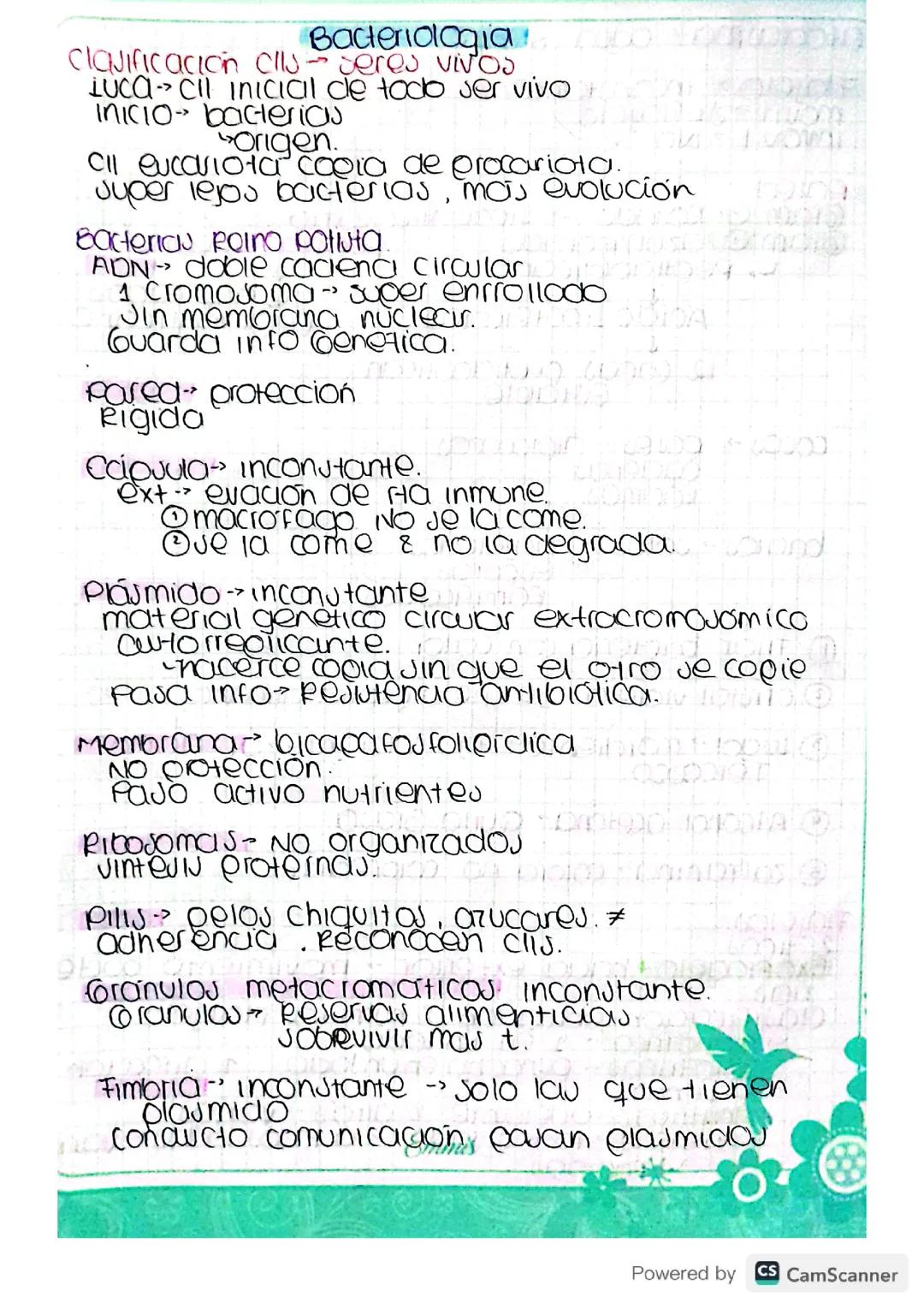 Introducción a las Bacterias