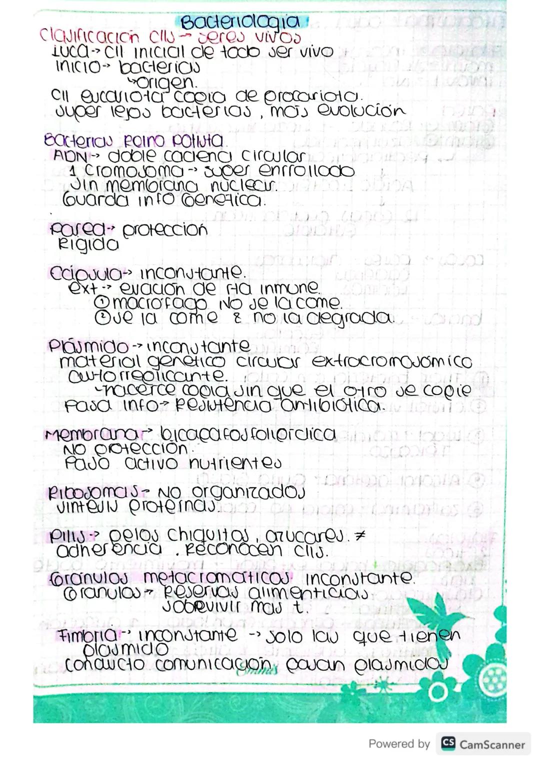 Bacteriologia.
clauificacion alls-seres VIVOS
LUCA - Cil Inicial de todo ser vivo
Inicio bacterias
origen.
Cll eucariota copia de procariota