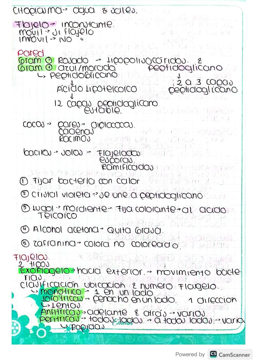 Bacteriologia.
clauificacion alls-seres VIVOS
LUCA - Cil Inicial de todo ser vivo
Inicio bacterias
origen.
Cll eucariota copia de procariota