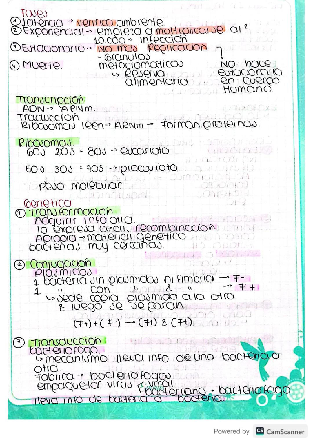 Bacteriologia.
clauificacion alls-seres VIVOS
LUCA - Cil Inicial de todo ser vivo
Inicio bacterias
origen.
Cll eucariota copia de procariota
