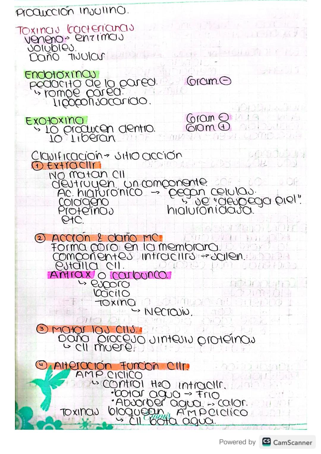 Bacteriologia.
clauificacion alls-seres VIVOS
LUCA - Cil Inicial de todo ser vivo
Inicio bacterias
origen.
Cll eucariota copia de procariota