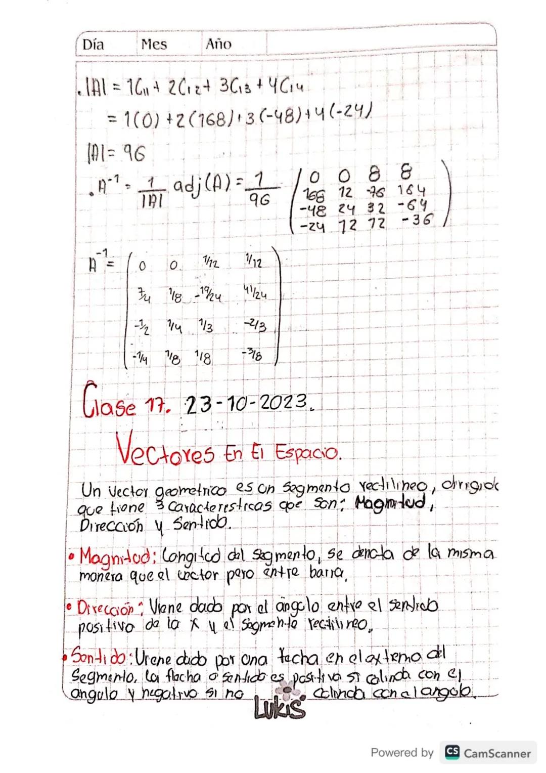Vectores