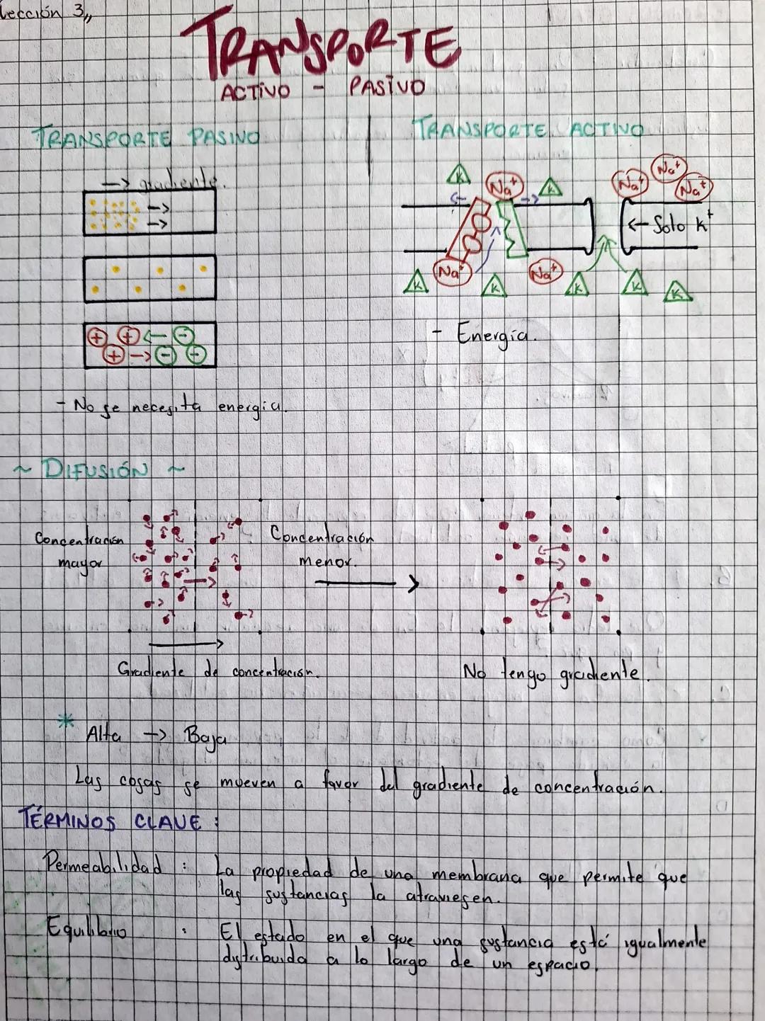 Lección 3
TRANSPORTE
ACTIVO
TRANSPORTE PASINO.
PASTVO
No
se neces
necesita
energia
2
DIFUSIÓN
2
Concentración
mayor
कर
Concentración
menox.
