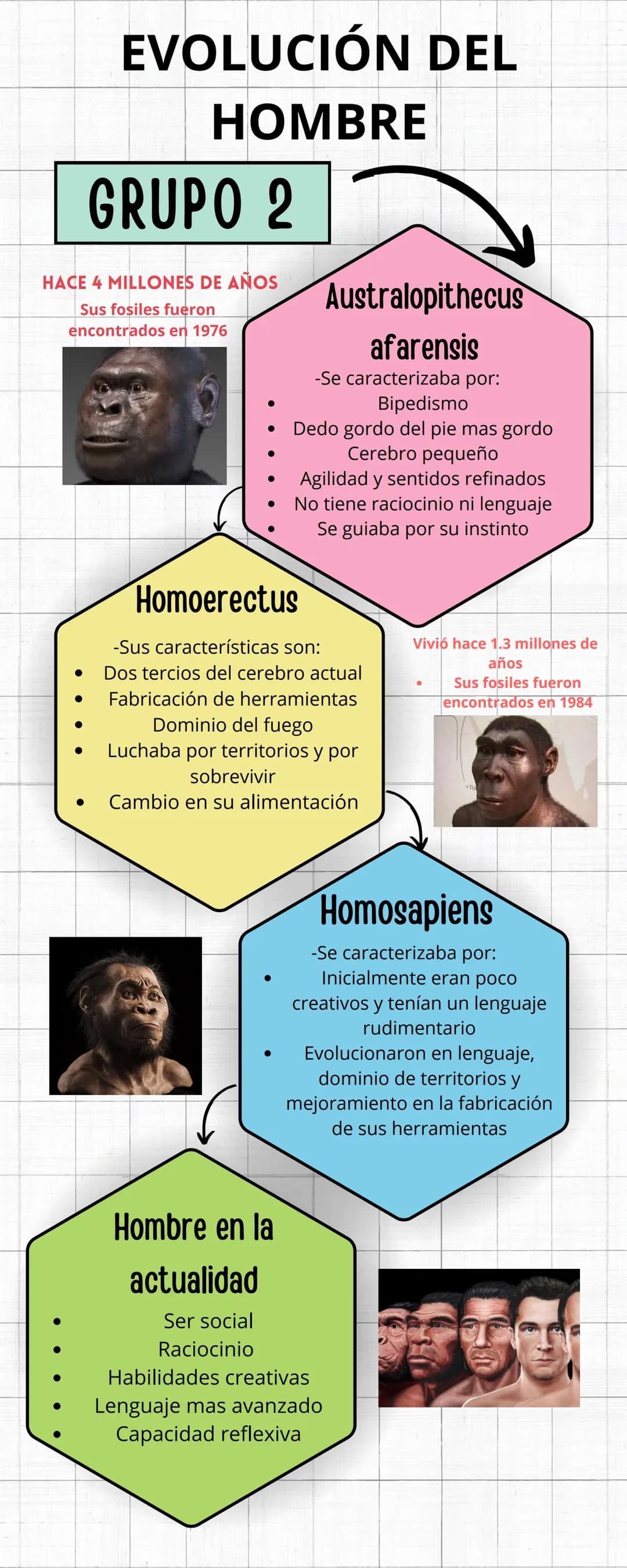 EVOLUCIÓN DEL
HOMBRE
GRUPO 2
HACE 4 MILLONES DE AÑOS
Sus fosiles fueron
encontrados en 1976
•
Homoerectus
Australopithecus
afarensis
-Se car