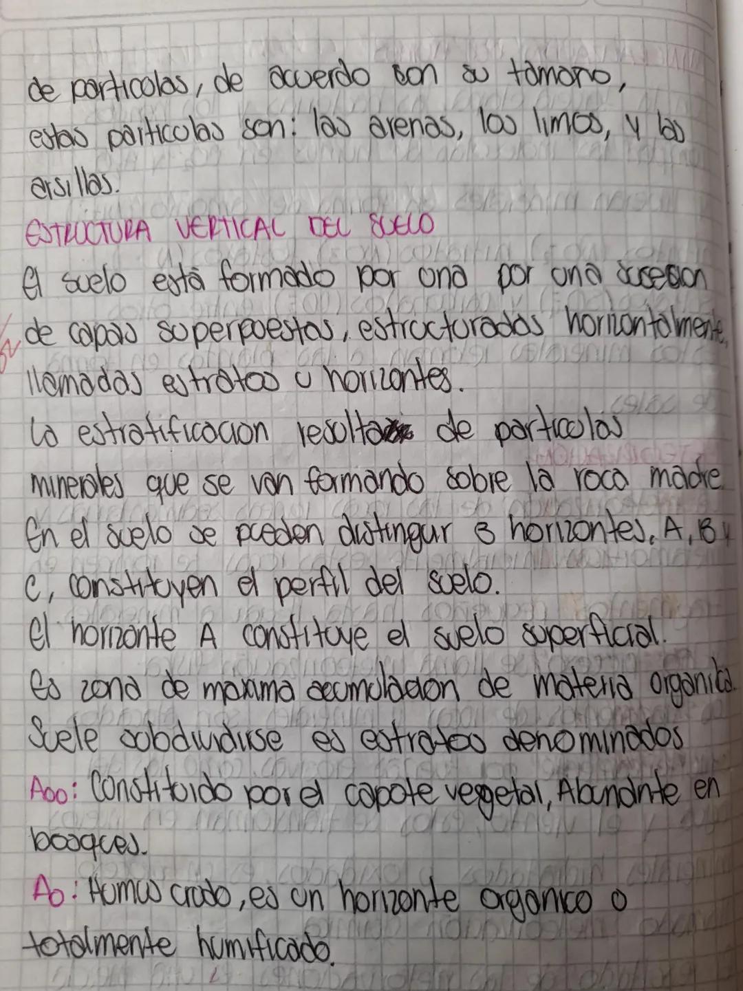 ORIGEN DEL SUELO
Es obra de diversos procesos de naturaleza
biótica y abiotica, Entre los
abiotica. Entre los primeros asta
la fragmentación