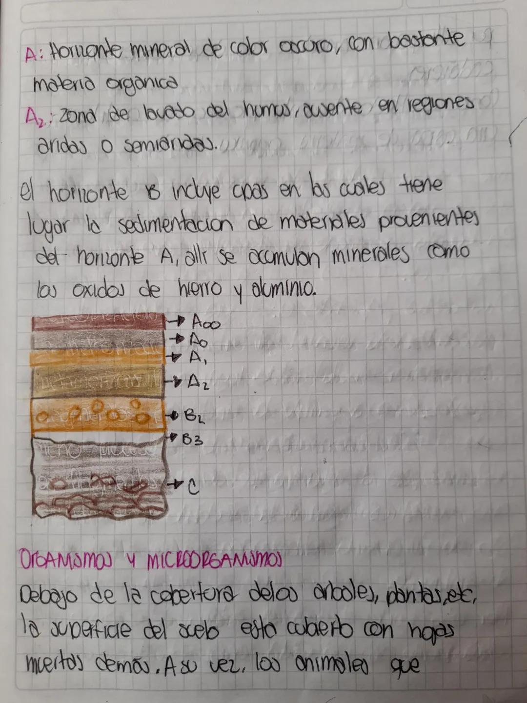 ORIGEN DEL SUELO
Es obra de diversos procesos de naturaleza
biótica y abiotica, Entre los
abiotica. Entre los primeros asta
la fragmentación