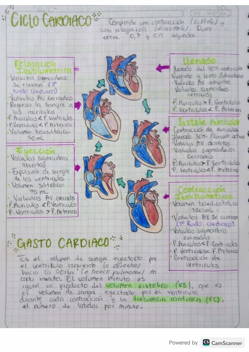 CICLO CARDIACO Comprende una contracción (sistoled y
Relajación
Isovolumetrica
Valvias Sigmoideas
Se clerion 12°
ruido cardiaco)
•Valvulas A