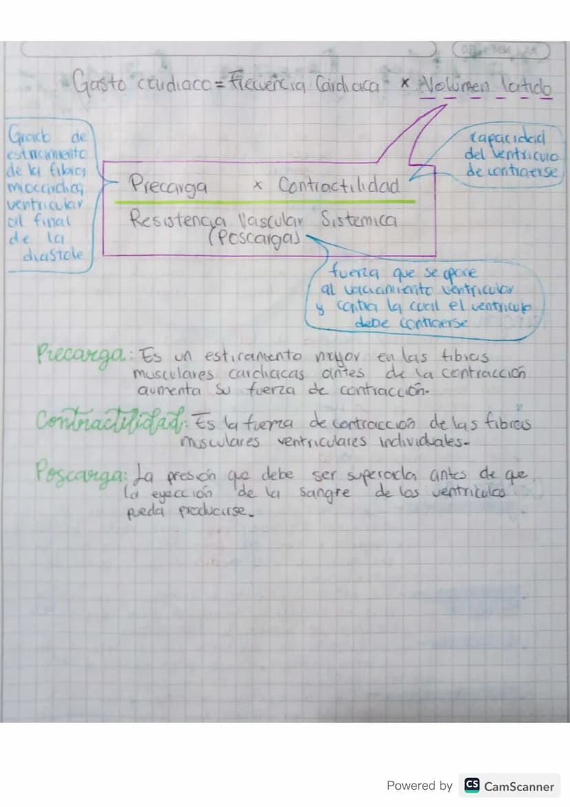 CICLO CARDIACO Comprende una contracción (sistoled y
Relajación
Isovolumetrica
Valvias Sigmoideas
Se clerion 12°
ruido cardiaco)
•Valvulas A