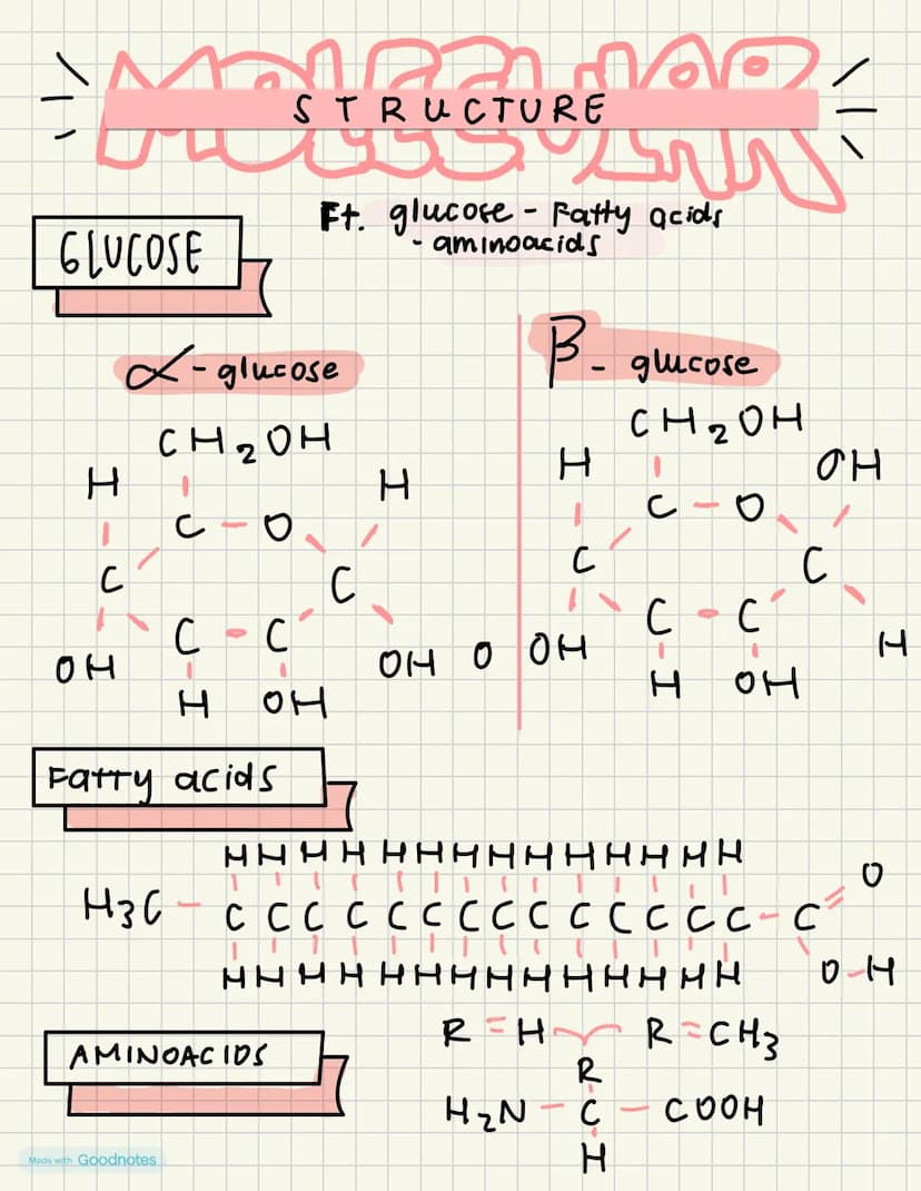 GLUCOSE
STRUCTURE
Ft. glucose-Fatty acids.
х-glucose
CH2OH
-
aminoacids
B-glucose
\ | /
H
H
H
ΟΗ
со
с
0
C
C
C
C
C
C
он
оно он
U-I
C -
C
Н
он
