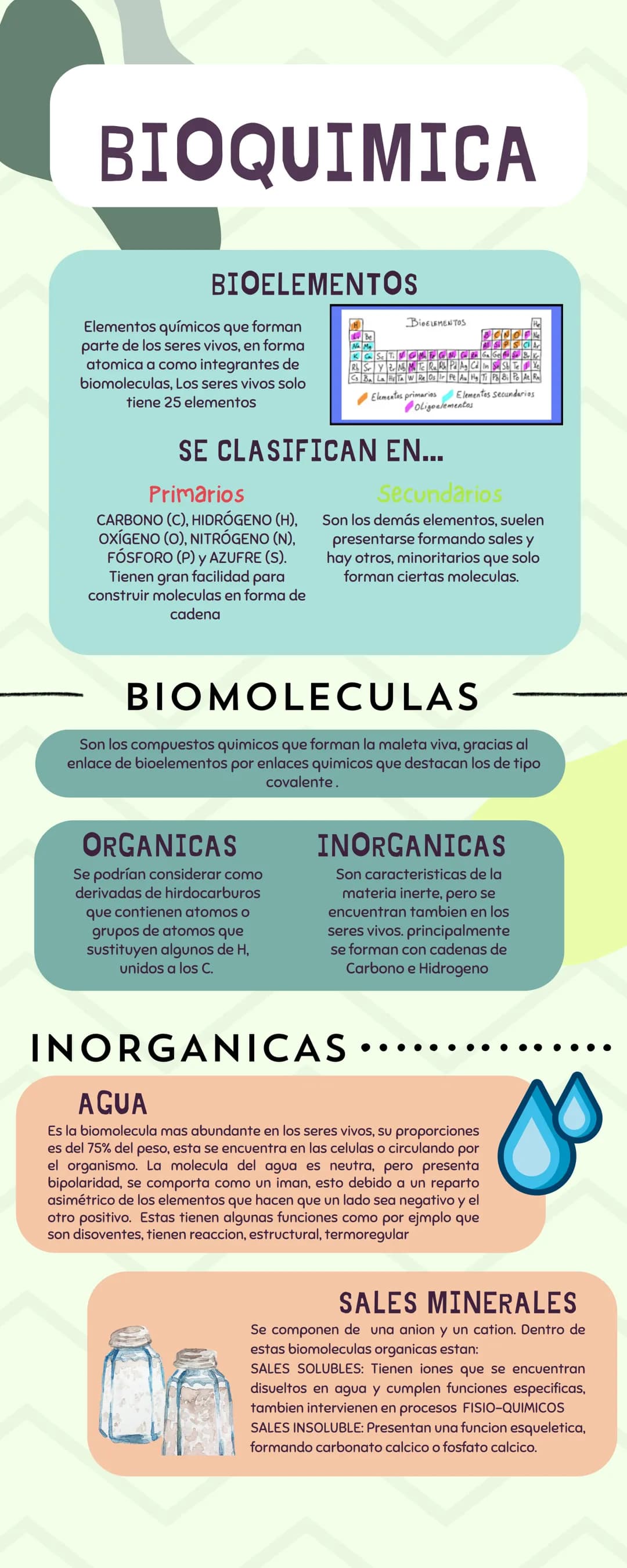 BIOQUIMICA
BIOELEMENTOS
Elementos químicos que forman
parte de los seres vivos, en forma
atomica a como integrantes de
biomoleculas, Los ser