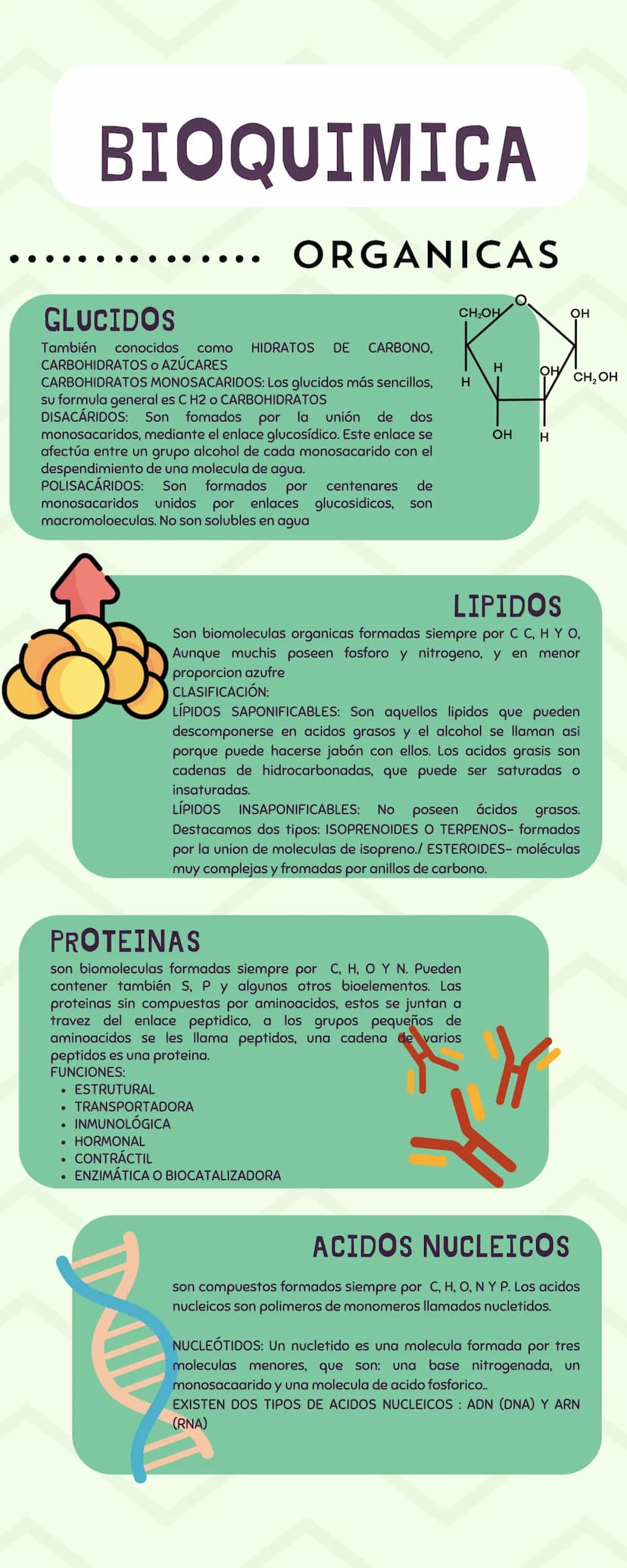 BIOQUIMICA
BIOELEMENTOS
Elementos químicos que forman
parte de los seres vivos, en forma
atomica a como integrantes de
biomoleculas, Los ser