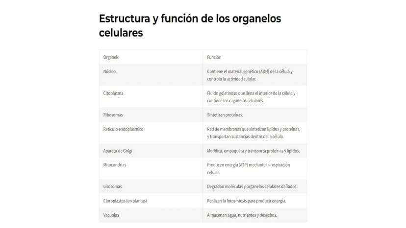 Teoría Celular
La teoría celular es uno de los pilares fundamentales de la biología moderna. Esta
teoría postula que todos los seres vivos e