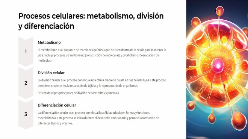 Teoría Celular
La teoría celular es uno de los pilares fundamentales de la biología moderna. Esta
teoría postula que todos los seres vivos e