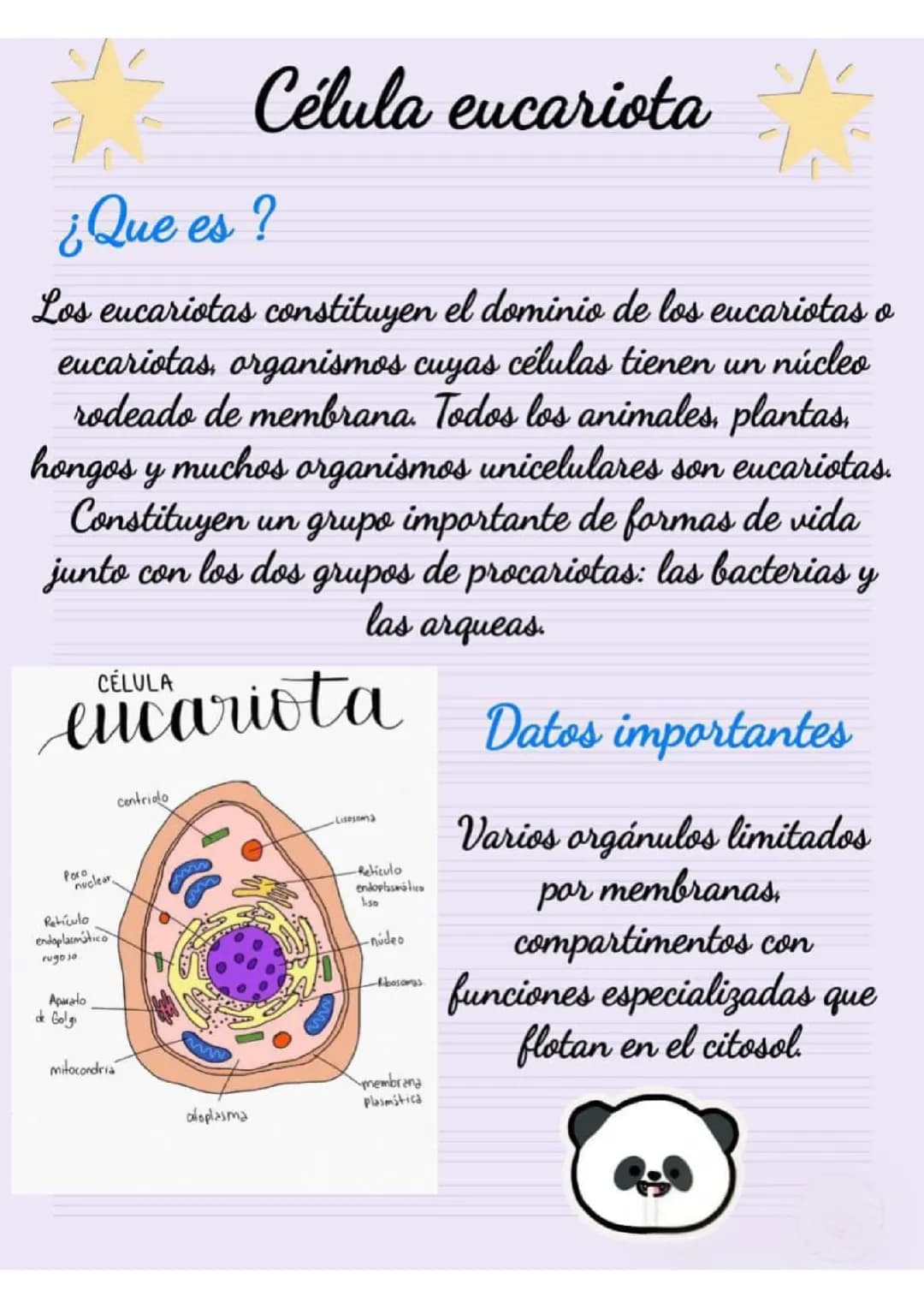 Célula eucariota 