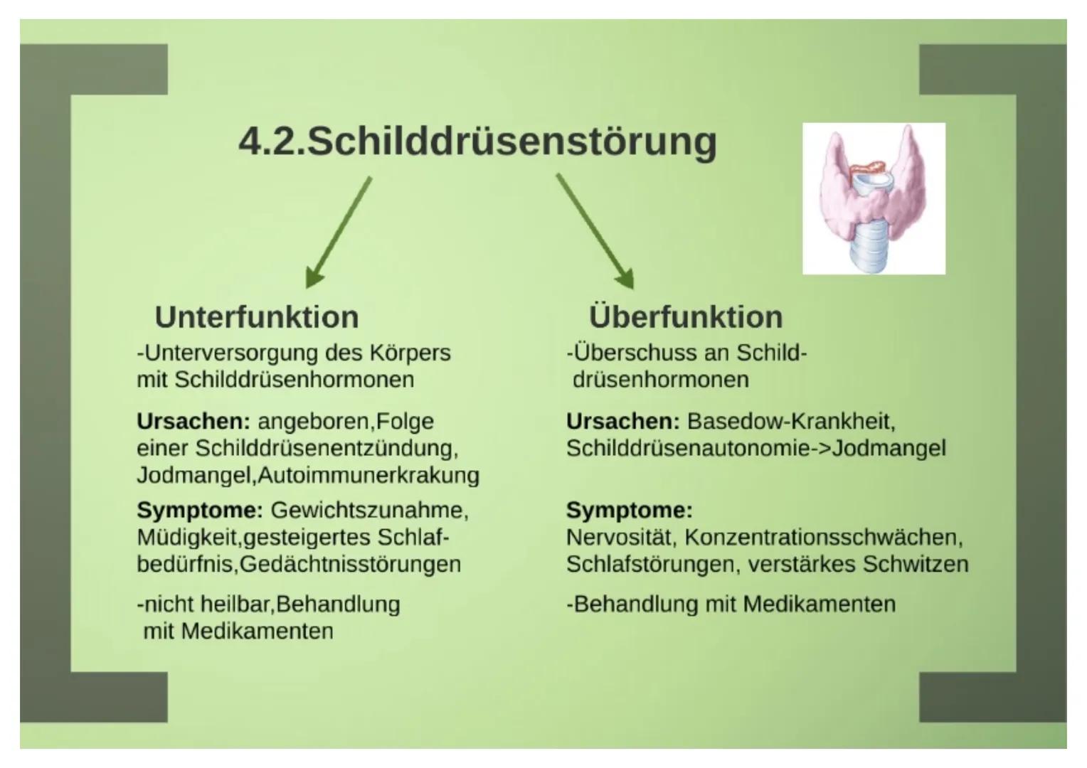1.Hormone

1.1.Definition
-chemische Signal- und Botenstoffe
-übermitteln Informationen und
regeln wichtige Vorgänge

1.2.Klassifizierung
-U