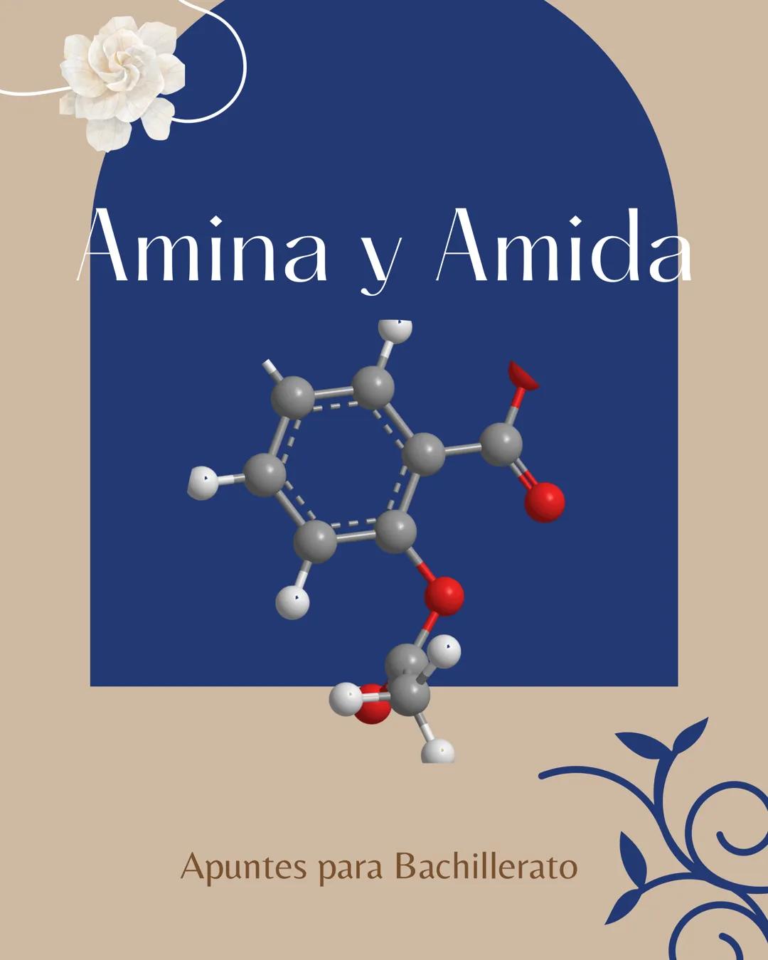 Amina v Amida
Apuntes para Bachillerato R
Amina R-NHD-N-H
• Nomenclatura: se le agregal
amina
• Uno de los hidrogenos esta unido a la
cadena