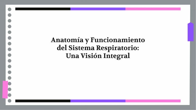 Anatomía y Funcionamiento
del Sistema Respiratorio:
Una Visión Integral DDD
Introducción
El sistema respiratorio es fundamental para la vida