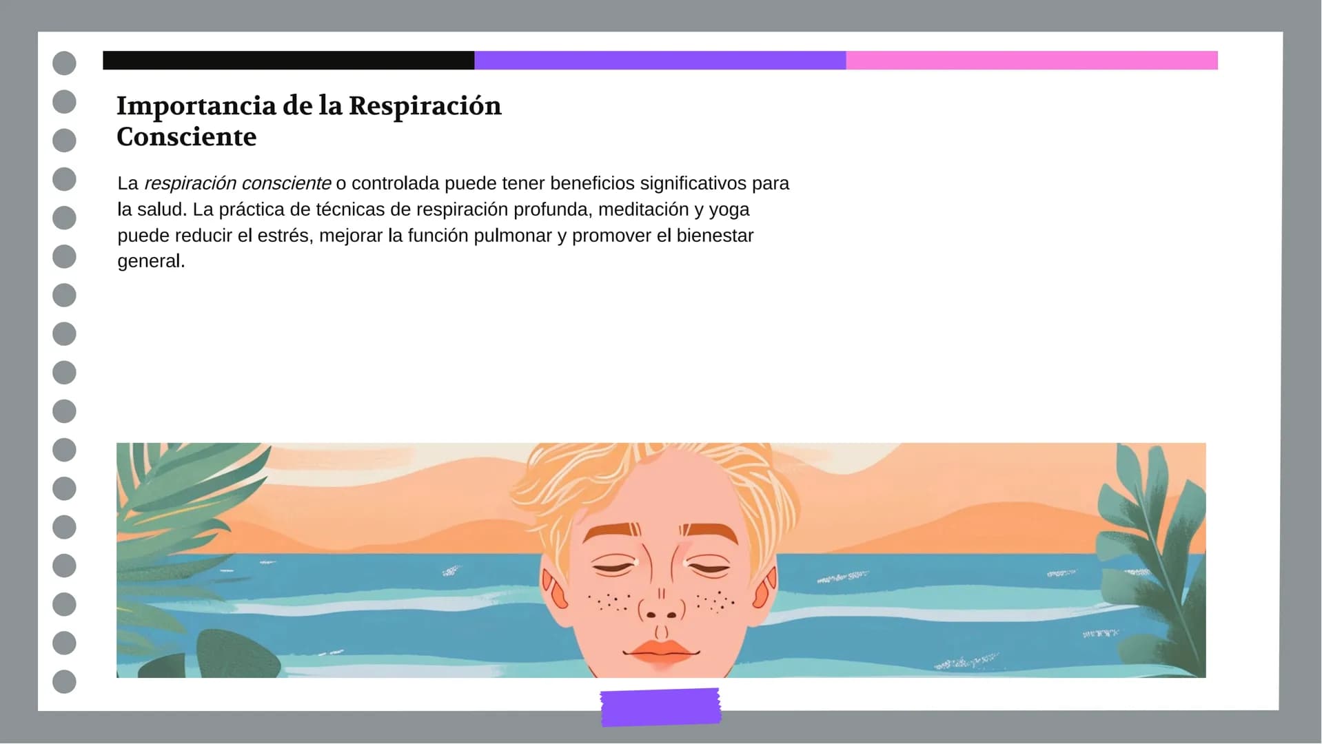 Anatomía y Funcionamiento
del Sistema Respiratorio:
Una Visión Integral DDD
Introducción
El sistema respiratorio es fundamental para la vida