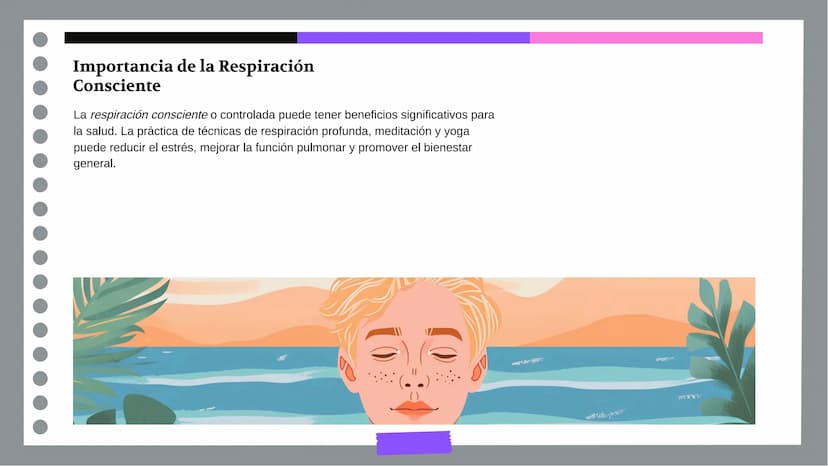 Anatomía y Funcionamiento
del Sistema Respiratorio:
Una Visión Integral DDD
Introducción
El sistema respiratorio es fundamental para la vida