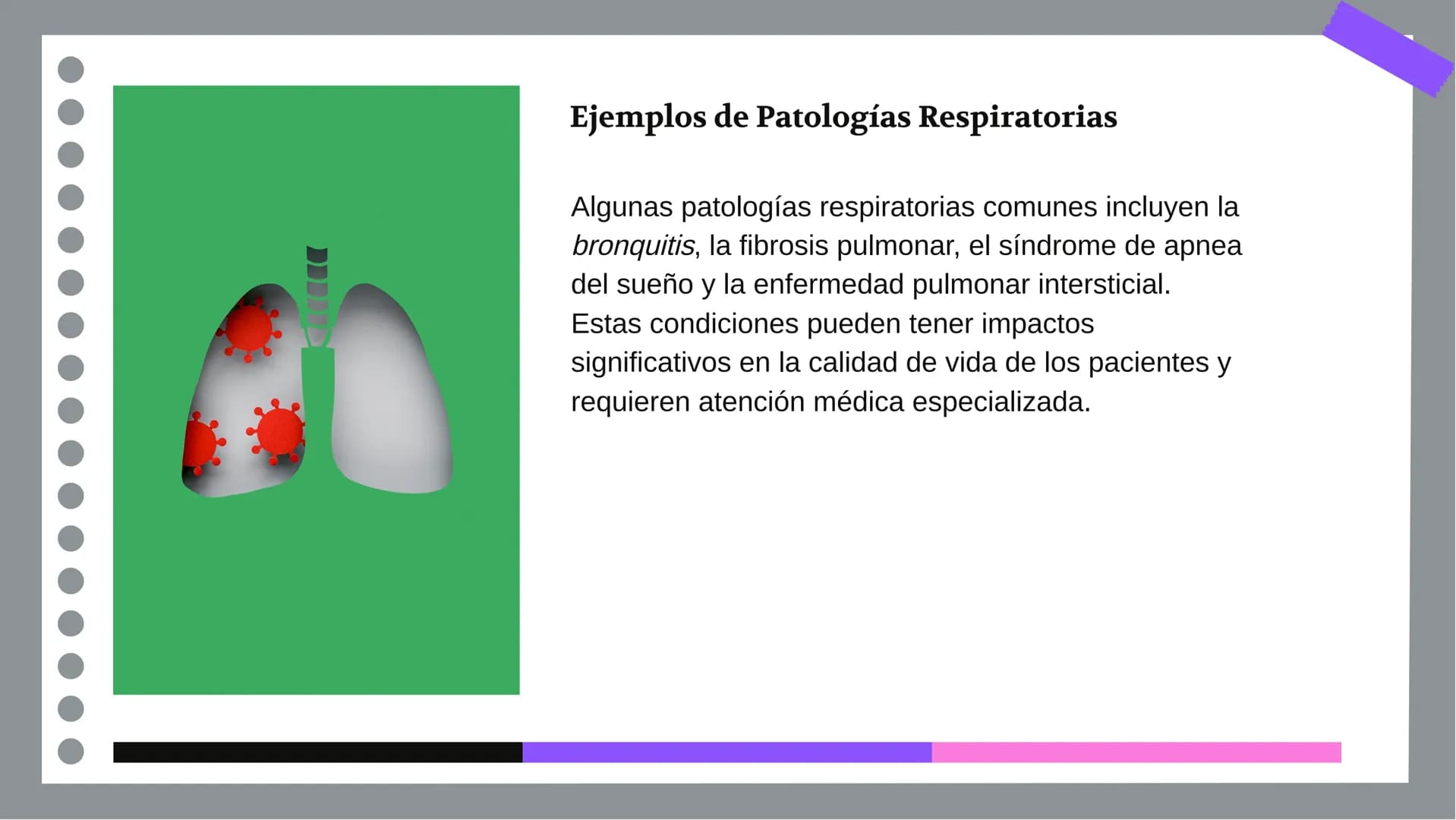 Anatomía y Funcionamiento
del Sistema Respiratorio:
Una Visión Integral DDD
Introducción
El sistema respiratorio es fundamental para la vida