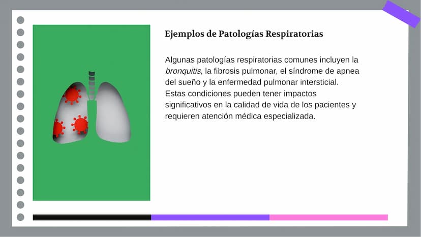 Anatomía y Funcionamiento
del Sistema Respiratorio:
Una Visión Integral DDD
Introducción
El sistema respiratorio es fundamental para la vida
