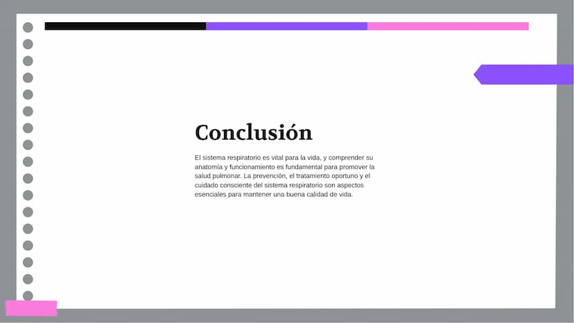 Anatomía y Funcionamiento
del Sistema Respiratorio:
Una Visión Integral DDD
Introducción
El sistema respiratorio es fundamental para la vida