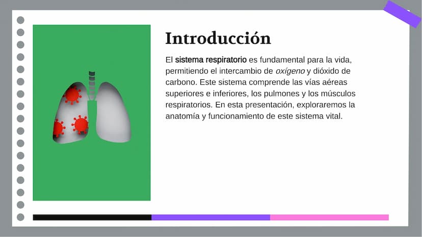 Anatomía y Funcionamiento
del Sistema Respiratorio:
Una Visión Integral DDD
Introducción
El sistema respiratorio es fundamental para la vida