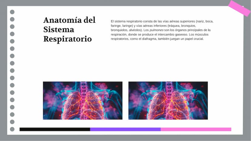 Anatomía y Funcionamiento
del Sistema Respiratorio:
Una Visión Integral DDD
Introducción
El sistema respiratorio es fundamental para la vida