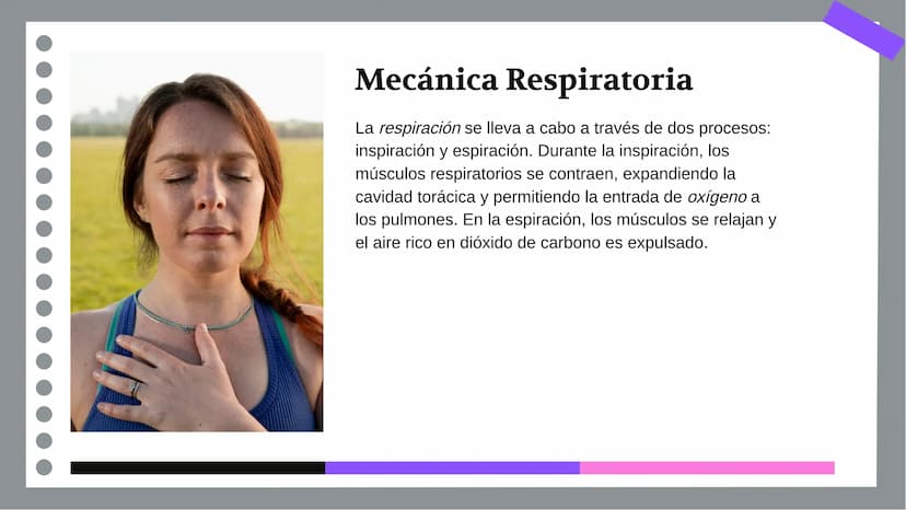 Anatomía y Funcionamiento
del Sistema Respiratorio:
Una Visión Integral DDD
Introducción
El sistema respiratorio es fundamental para la vida