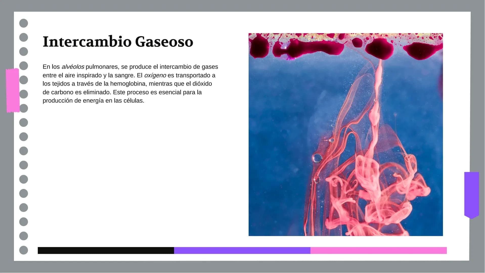 Anatomía y Funcionamiento
del Sistema Respiratorio:
Una Visión Integral DDD
Introducción
El sistema respiratorio es fundamental para la vida