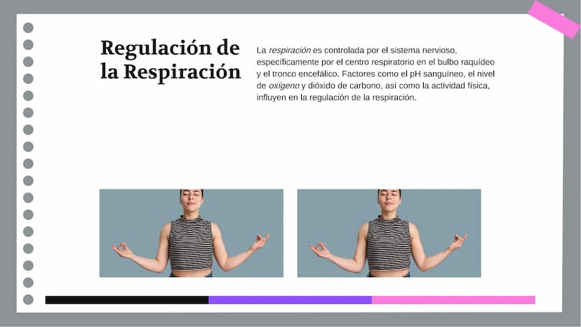 Anatomía y Funcionamiento
del Sistema Respiratorio:
Una Visión Integral DDD
Introducción
El sistema respiratorio es fundamental para la vida